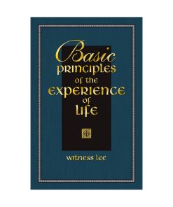 Basic Principles of the Experience of Life